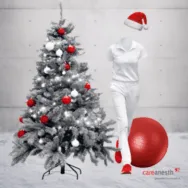 dipl–physiotherapeut-in-20100-126108-employer_image