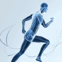 physiotherapie-la-cerisaie-61372-image