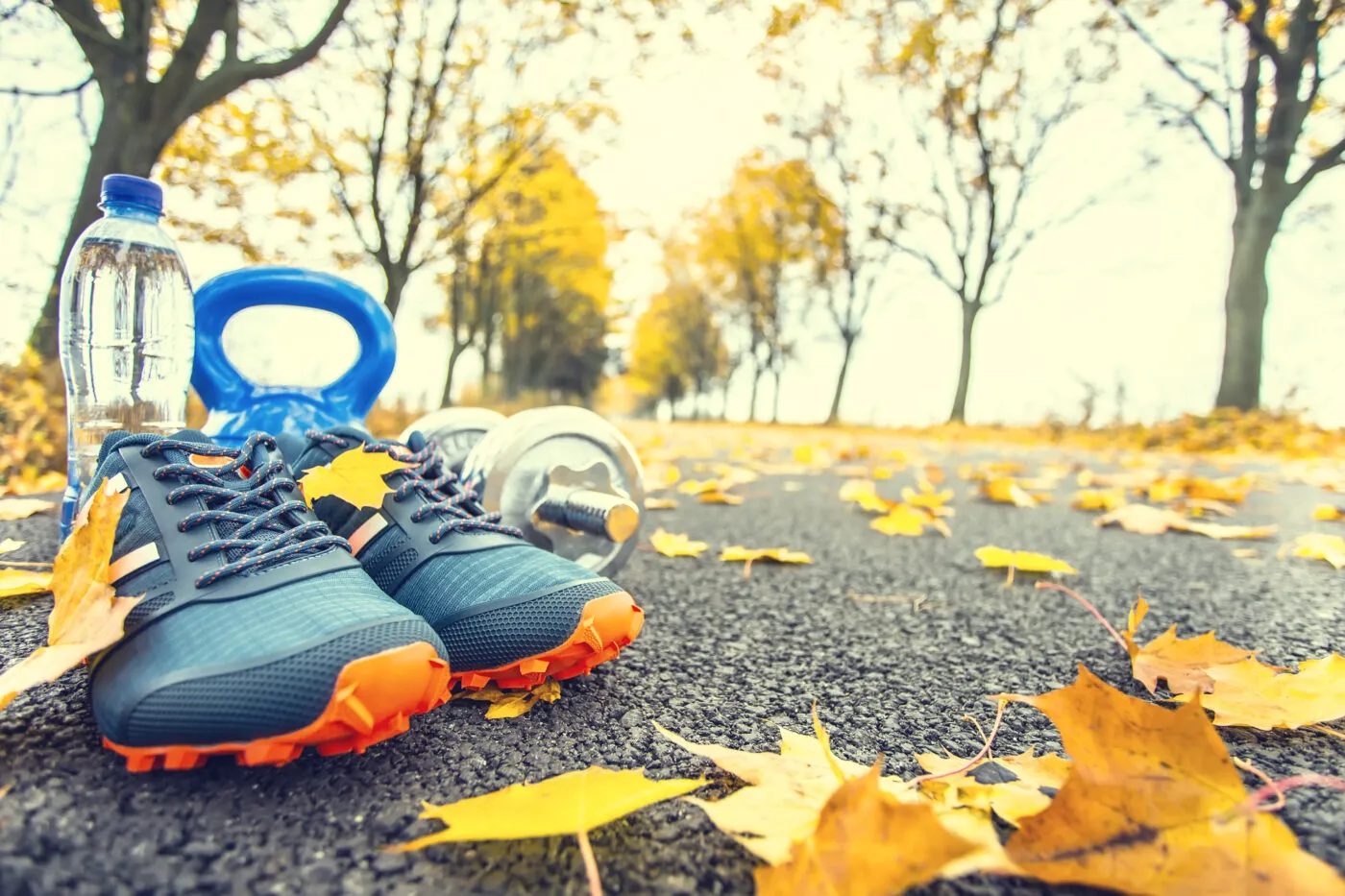 Pair Of Blue Sport Shoes Water And Dumbbells Laid On A Path In A Tree Autumn Alley With Maple Leaves Accessories For Run Exercise Or Workout Activity