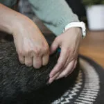 elodie-senoner-122879-image