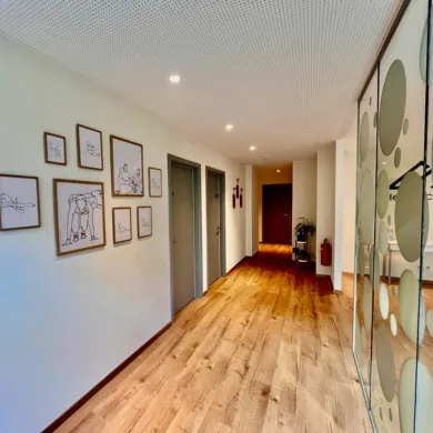 helvetic-physio-98143-image